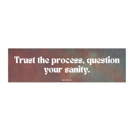 Trust the process, question your sanity - Vinyl Bumper Sticker